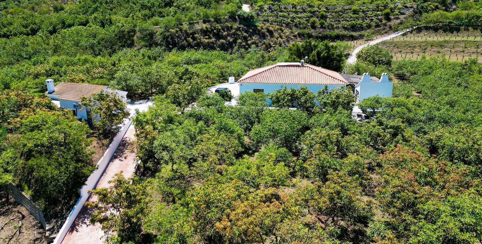 Sale of finca - cortijo in Vélez-Málaga 2