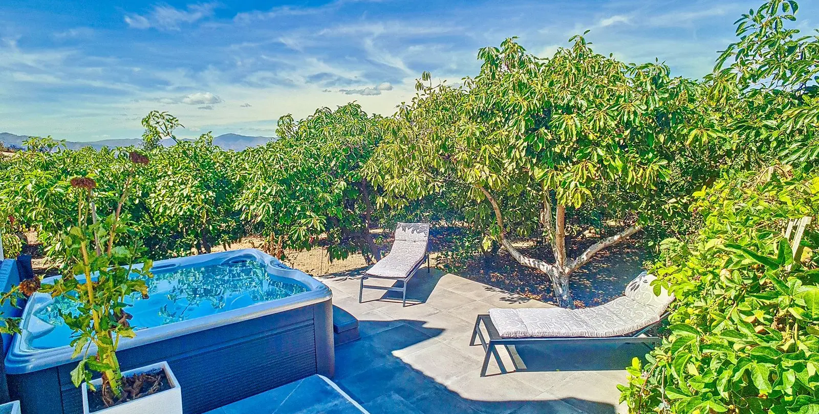 Sale of finca - cortijo in Vélez-Málaga 23