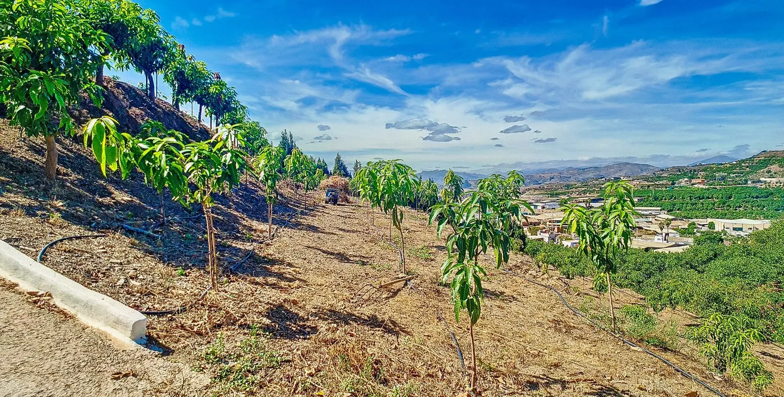 Sale of finca - cortijo in Vélez-Málaga 38