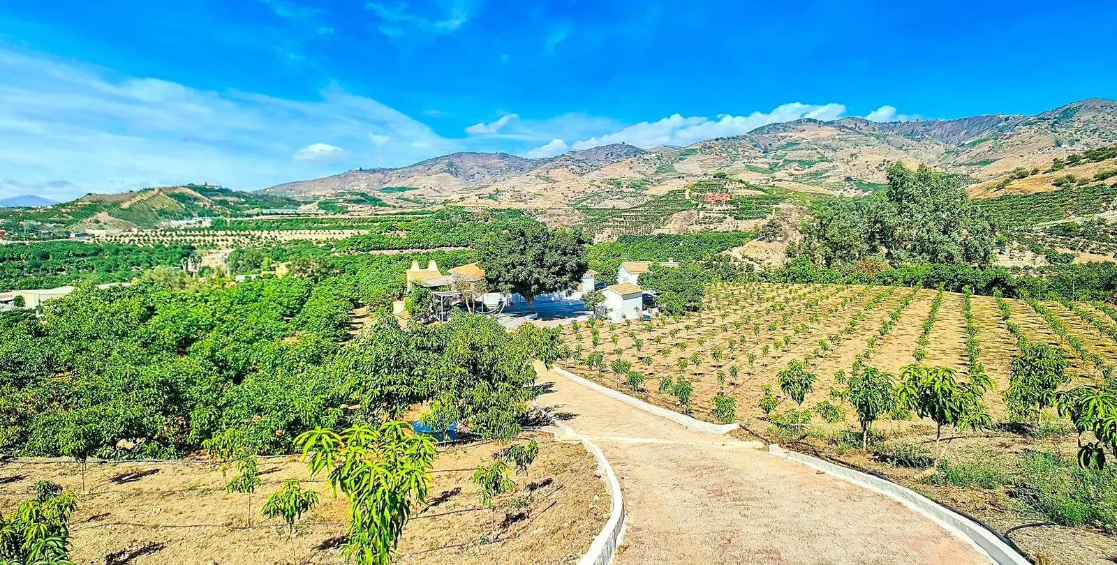 Sale of finca - cortijo in Vélez-Málaga 43