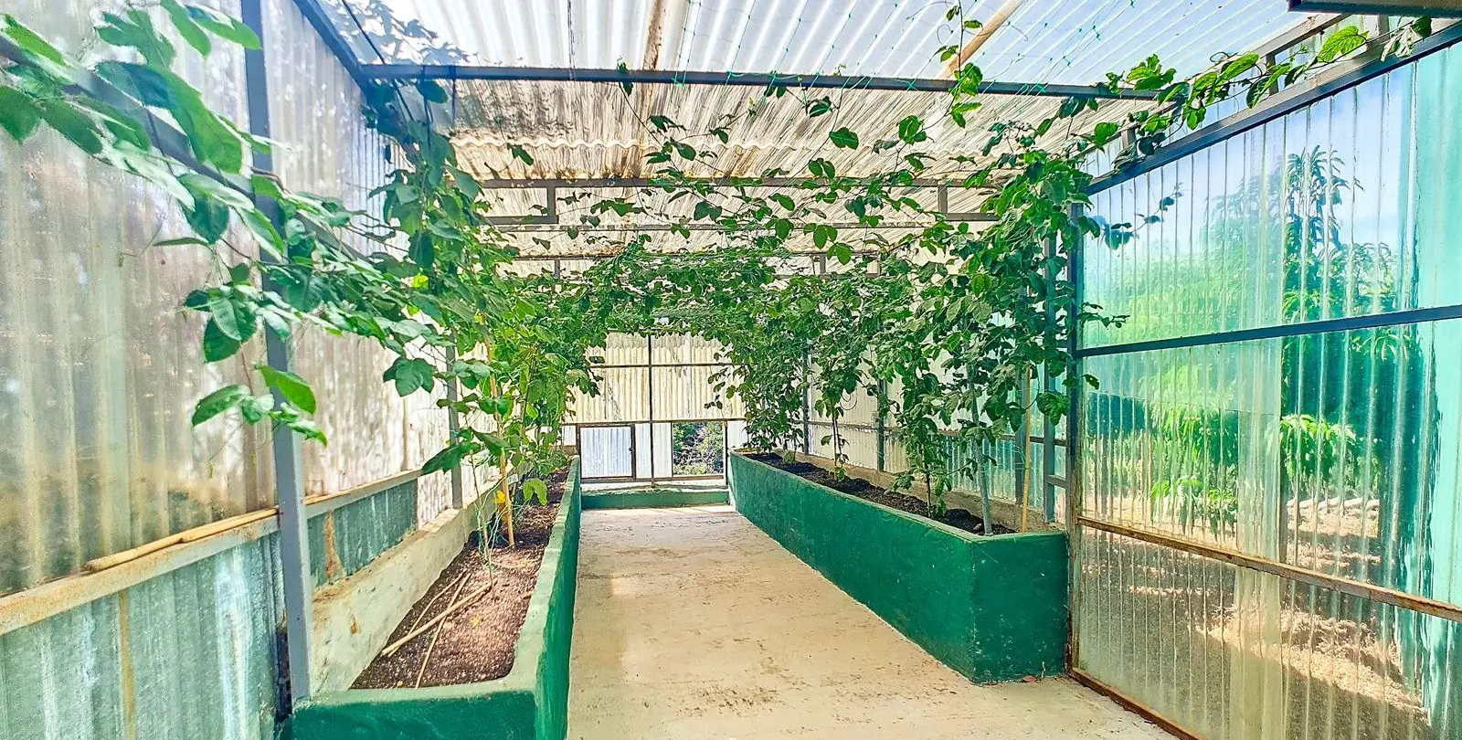 Sale of finca - cortijo in Vélez-Málaga 50
