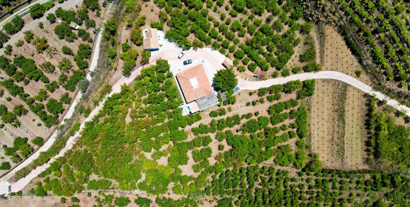 Sale of finca - cortijo in Vélez-Málaga 57