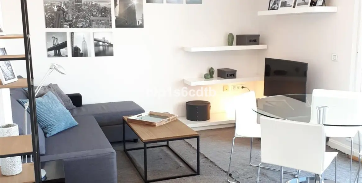 Short-term rent of penthouse in Nueva Andalucía 15