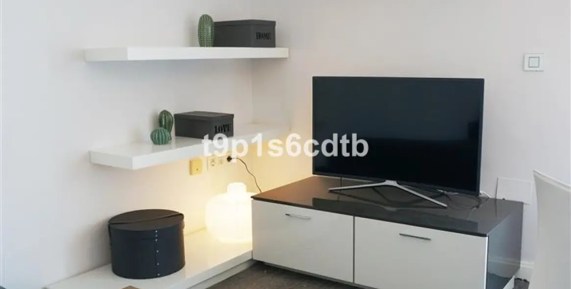 Short-term rent of penthouse in Nueva Andalucía 24