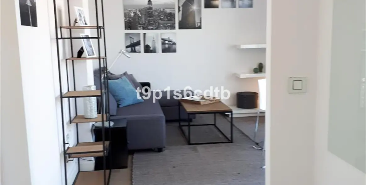 Short-term rent of penthouse in Nueva Andalucía 25