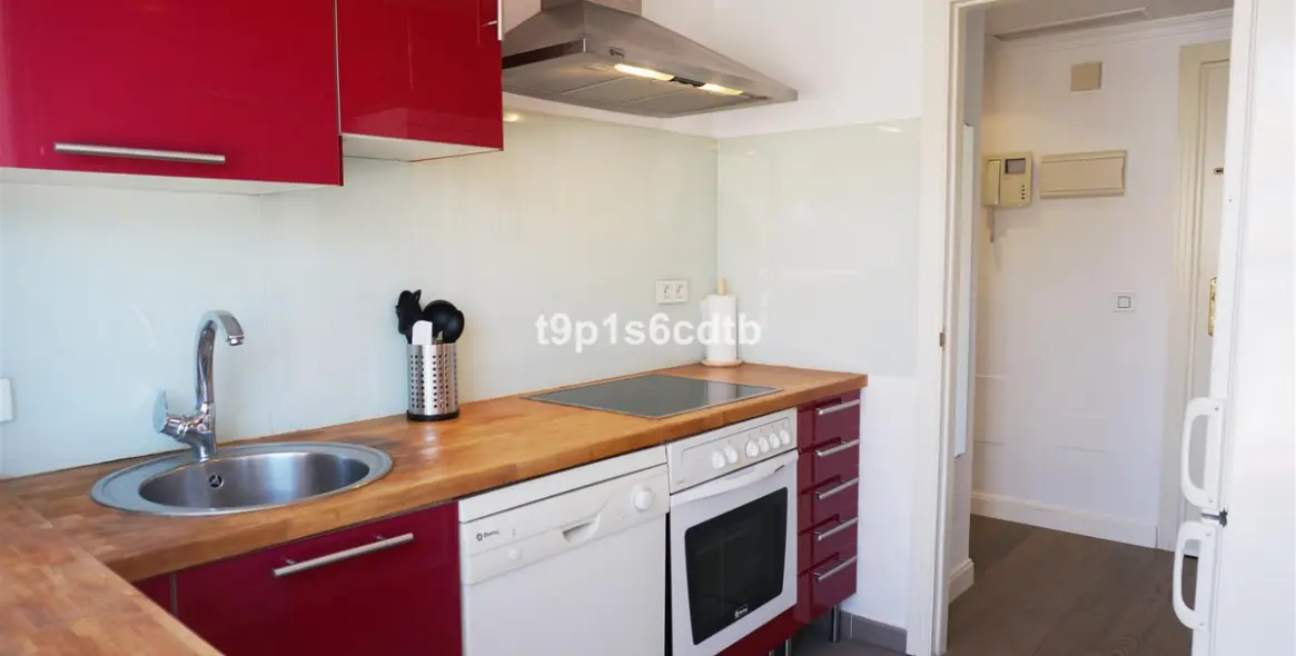 Short-term rent of penthouse in Nueva Andalucía 27