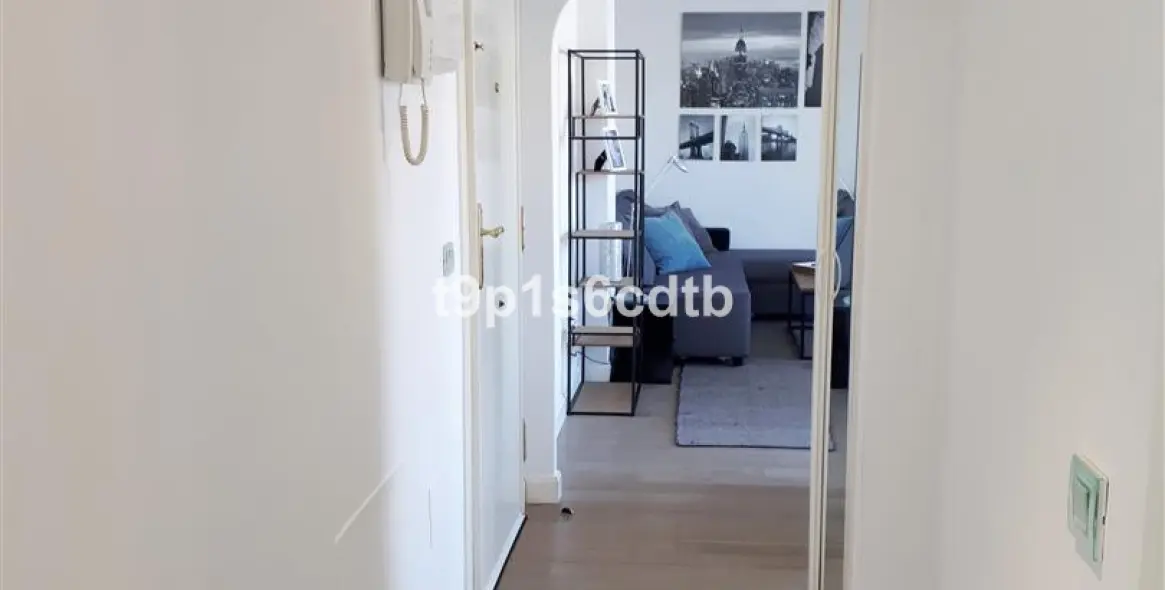 Short-term rent of penthouse in Nueva Andalucía 31