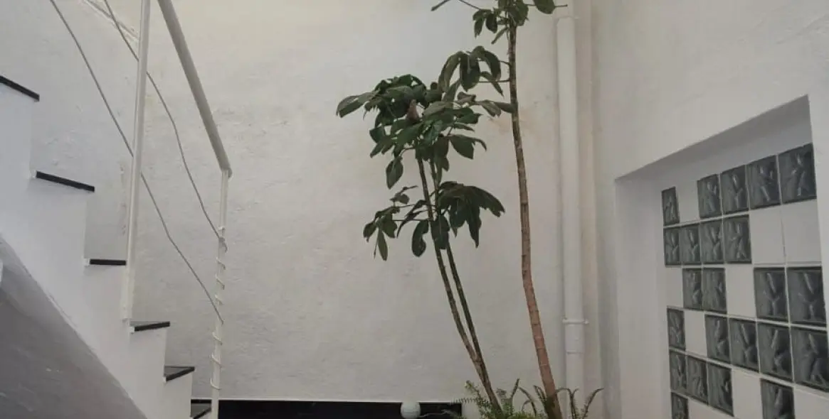 Продажа коммерческого помещения в San Pedro de Alcántara 14