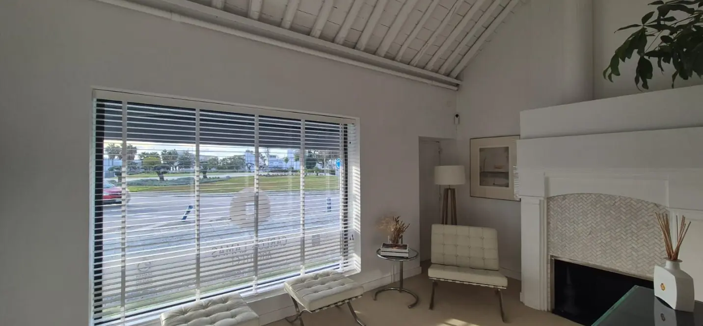 Sale of commercial premises in San Pedro de Alcántara 0