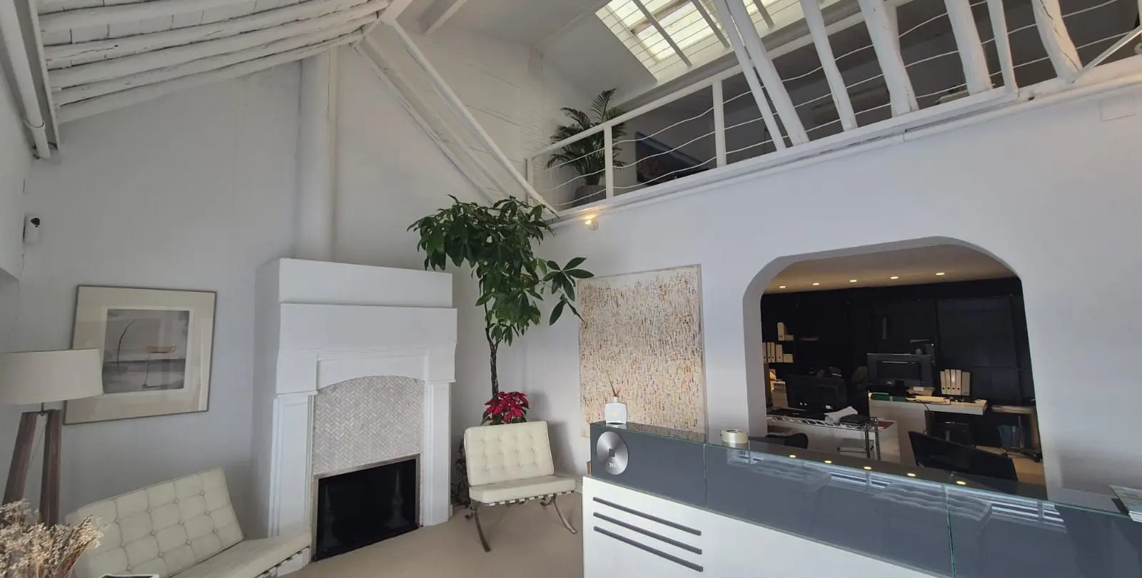 Sale of commercial premises in San Pedro de Alcántara 2