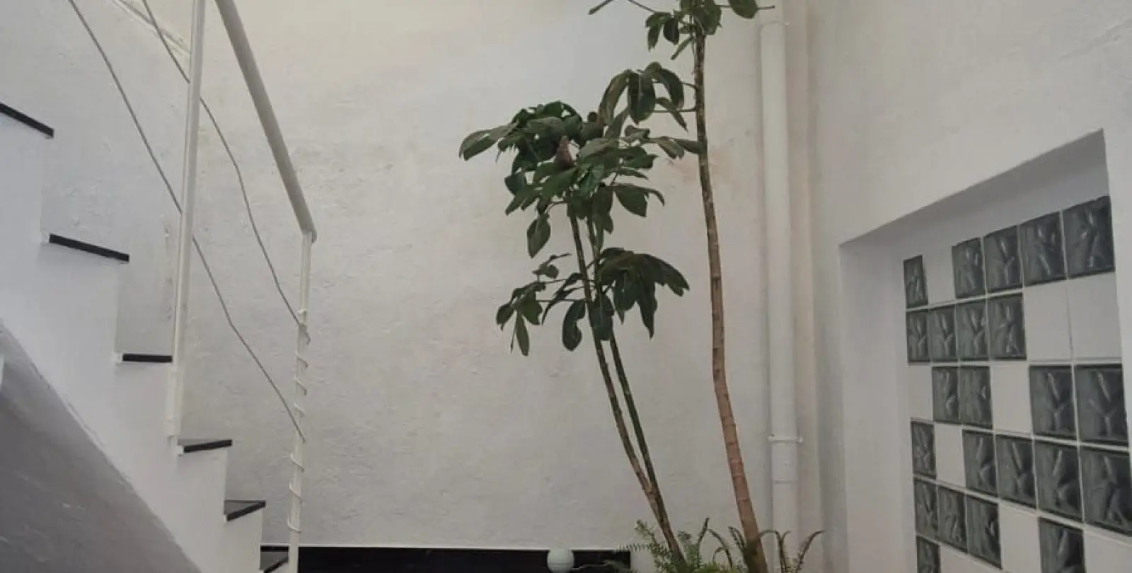 Sale of commercial premises in San Pedro de Alcántara 14