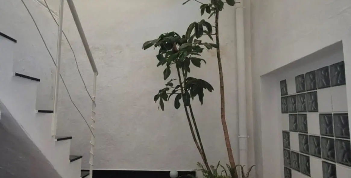 Venta de villa independiente en San Pedro de Alcántara 14