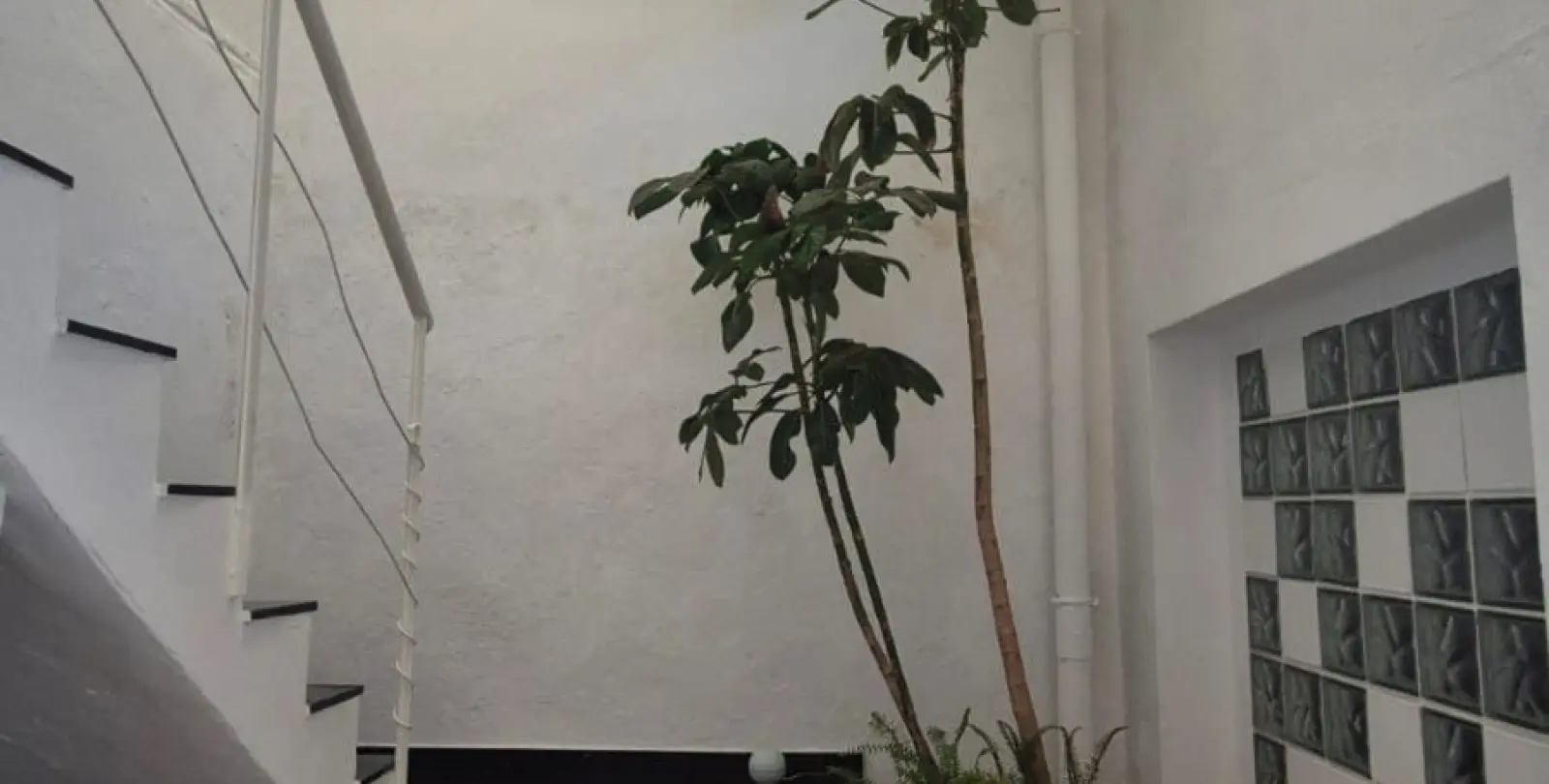 Sale of detached villa in San Pedro de Alcántara 14