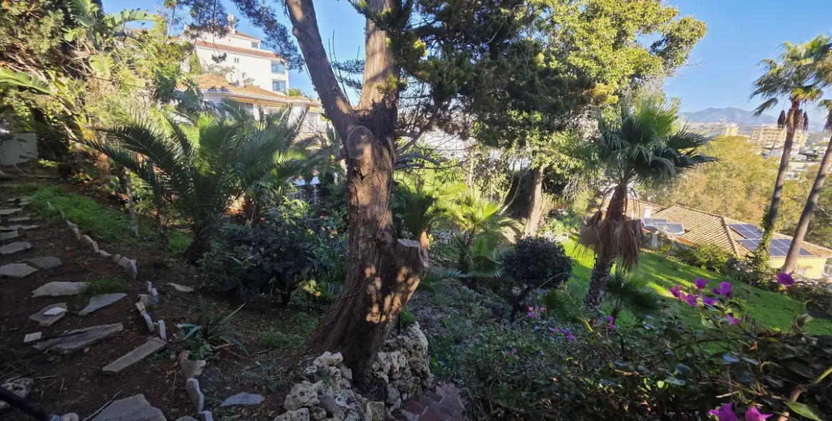 Sale of detached villa in Torrenueva 26