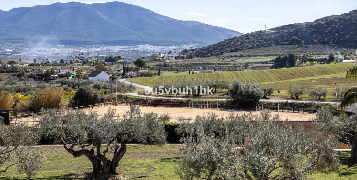 Venta de finca - cortijo en Alhaurin el Grande 3