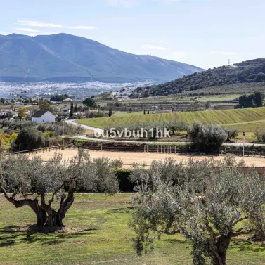 Venta de finca - cortijo en Alhaurin el Grande