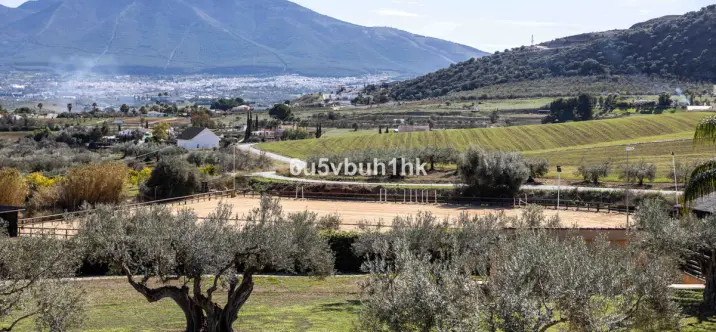 Venta de finca - cortijo en Alhaurin el Grande 2