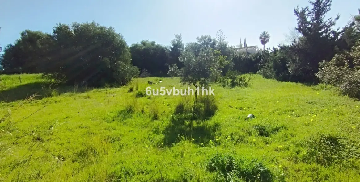 Sale of residential plot in Bel Air 14