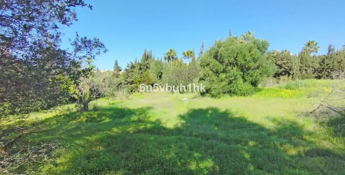 Sale of residential plot in Bel Air 15