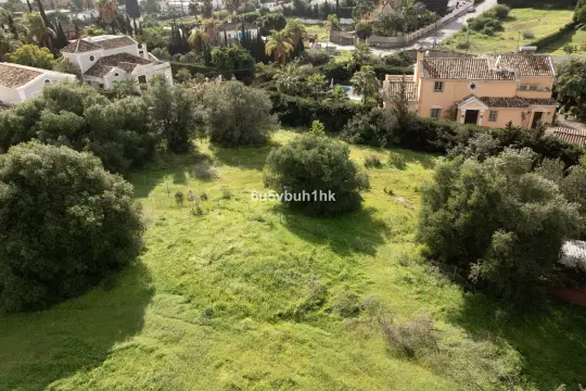 Image 4 thumb