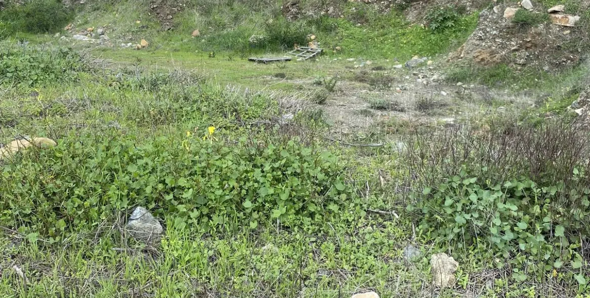 Sale of residential plot in Benahavís 13