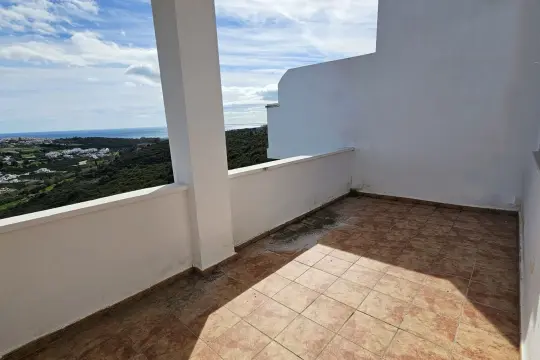 Image 12 thumb