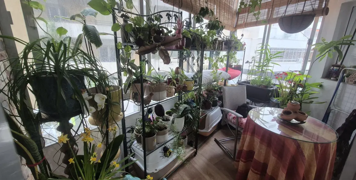 Sale of middle floor apartment in Marbella 11