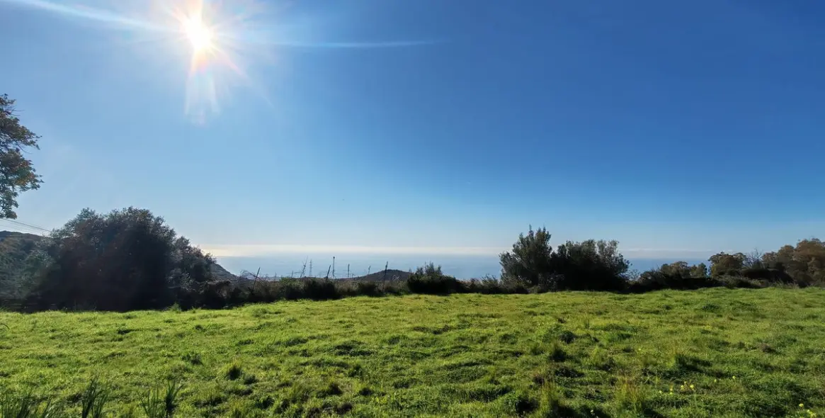 Venta de parcela residencial en Marbella 1