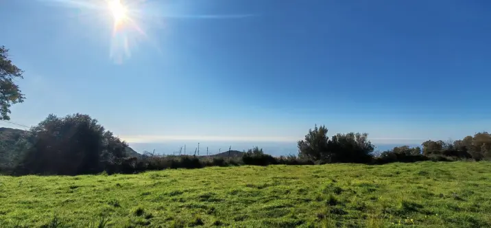 Продажа  жилого участка в Marbella 0