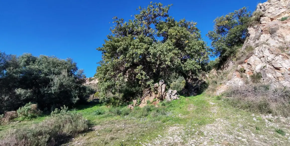 Venta de parcela residencial en Marbella 11