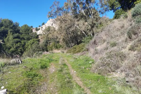 Image 6 thumb