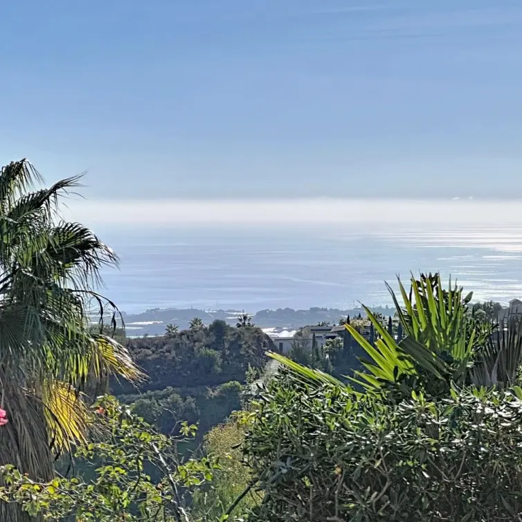 Sale of detached villa in Algarrobo
