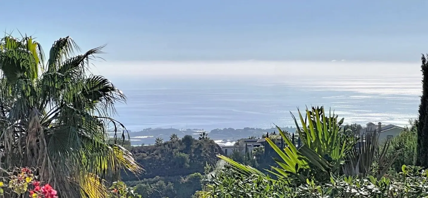 Sale of detached villa in Algarrobo 4