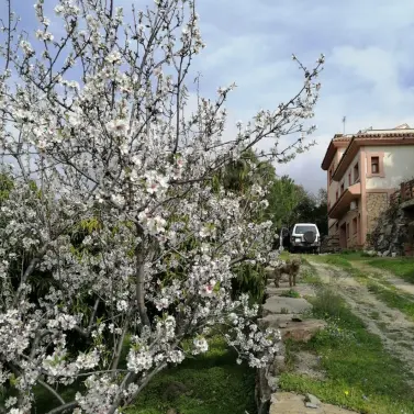 Venta de villa independiente en Selwo