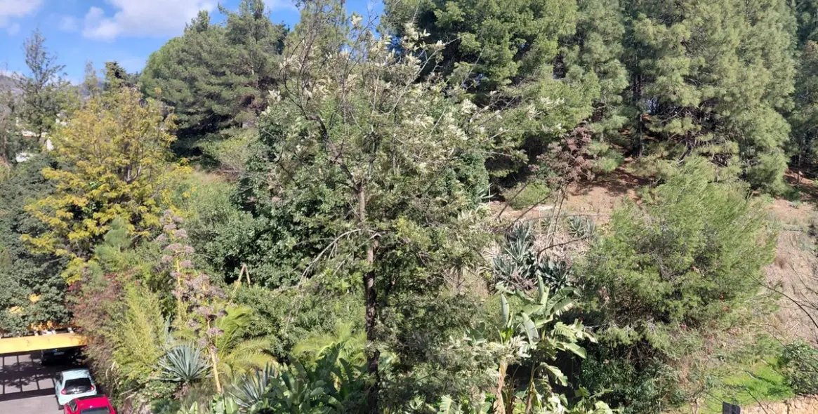 Sale of middle floor apartment in Marbella 13