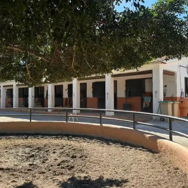 Venta de finca - cortijo en Málaga Este