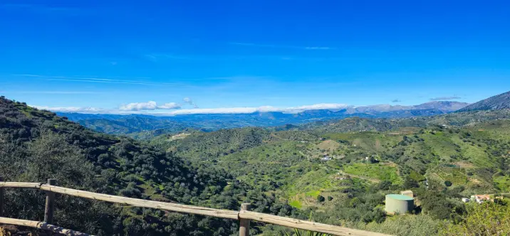 Sale of detached villa in Arenas 3