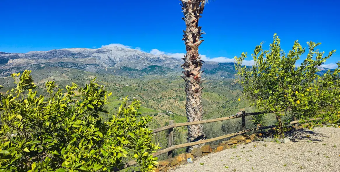 Sale of detached villa in Arenas 5