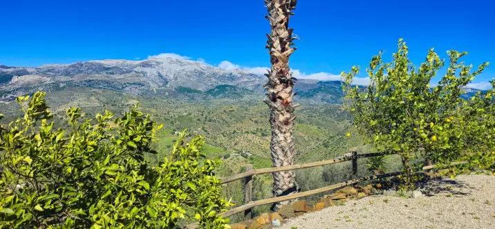 Sale of detached villa in Arenas 4