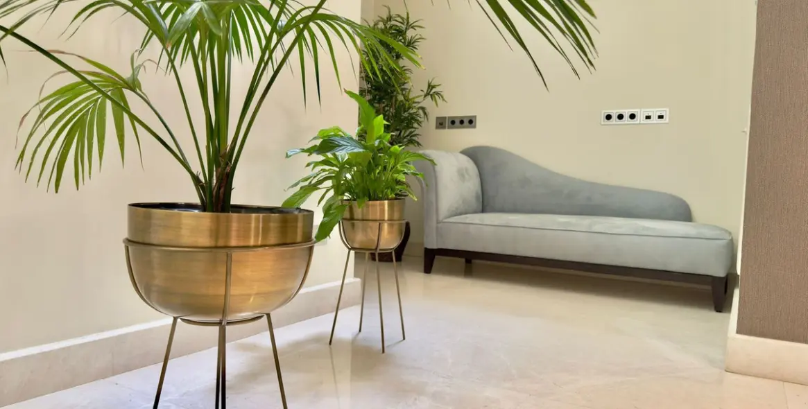 Long-term rent of detached villa in The Golden Mile 10