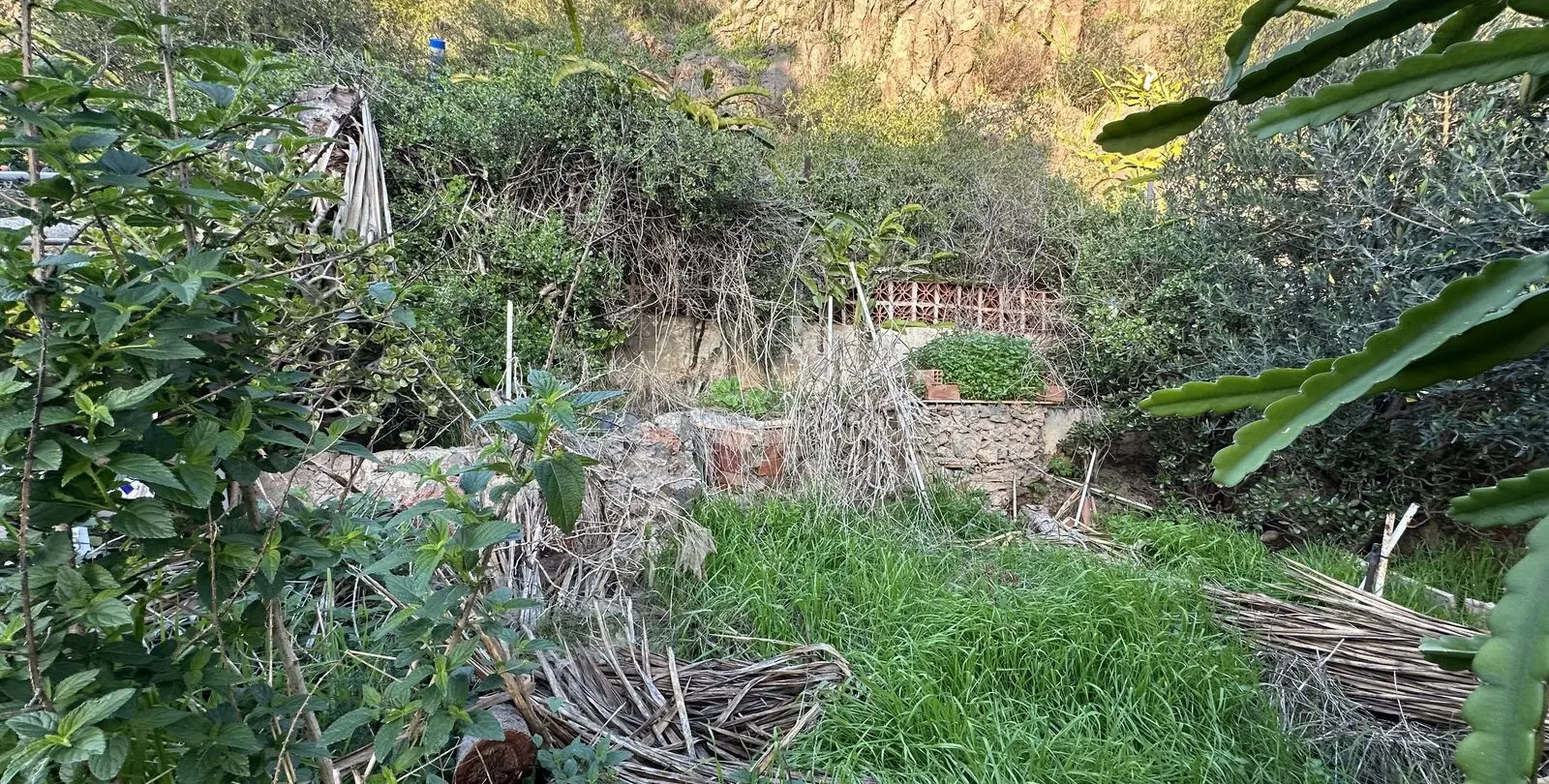 Venta de adosado en Rincón de la Victoria 11