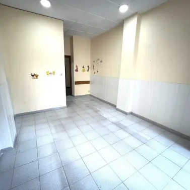 Long-term rent of commercial premises in Málaga