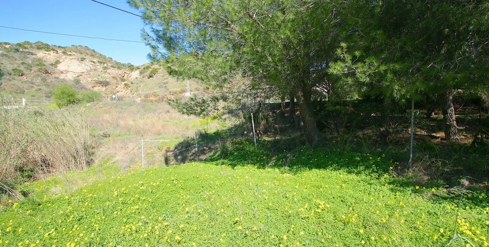 Продажа финки в Mijas 41