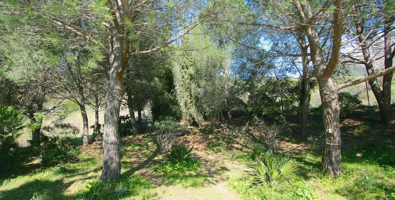 Продажа финки в Mijas 43
