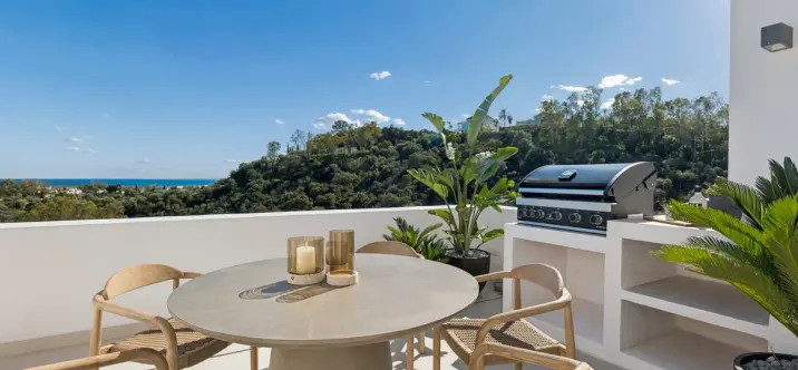 Продажа пентхауса в Los Almendros 4