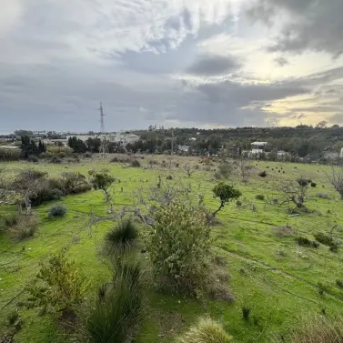 Продажа  отдельно стоящей виллы в Estepona