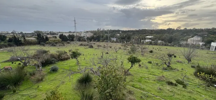 Продажа  отдельно стоящей виллы в Estepona 2