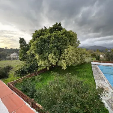 Продажа  отдельно стоящей виллы в Estepona