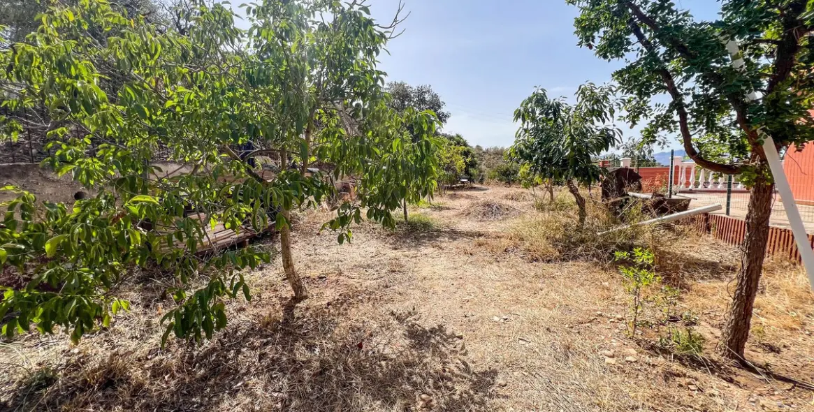 Sale of detached villa in Campanillas 18