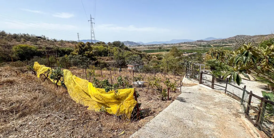 Sale of detached villa in Campanillas 21